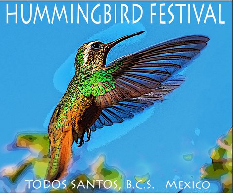 The Festivals of Todos Santos: 2016