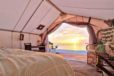 Glamping the Seas and Sierras of Baja California Sur