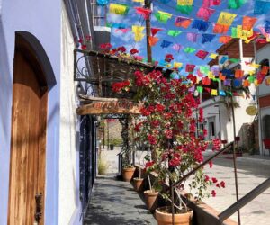 Todos Santos Art & Shopping