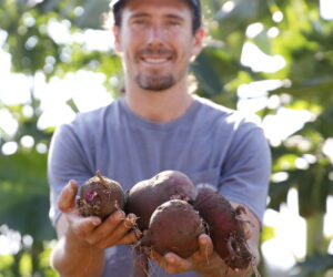 Reclaiming the Soil: Regenerative Farming in Baja California Sur