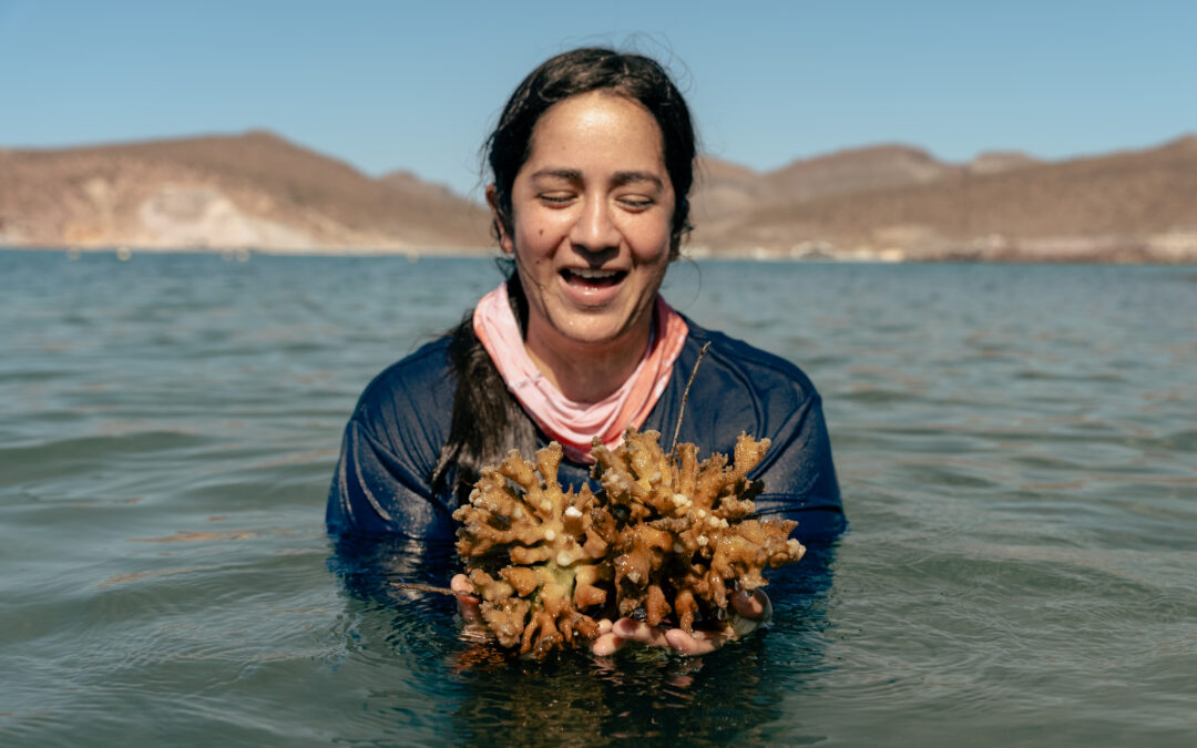 Coral Gardening