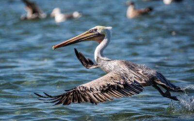 Tourism Cares: Check Out The Meaningful Travel Map