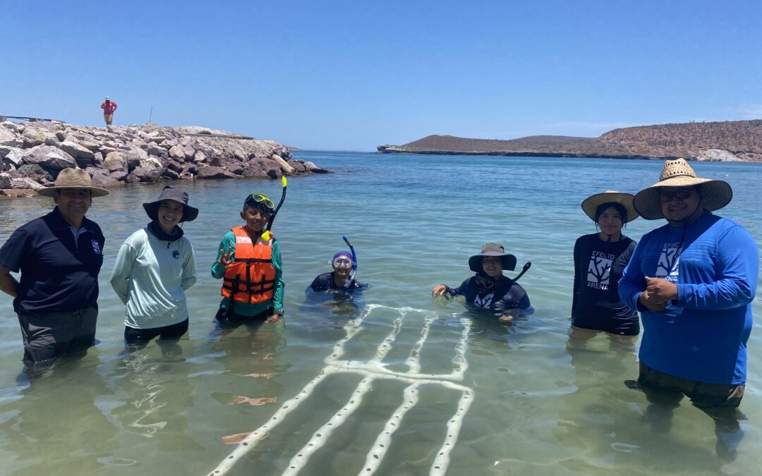 Coral Gardening