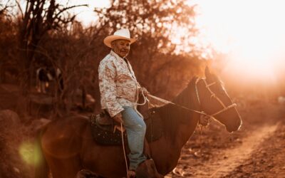 Don Cata and the Wild Bulls of Baja California Sur